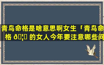 青鸟命格是啥意思啊女生「青鸟命格 🦊 的女人今年要注意哪些问题」